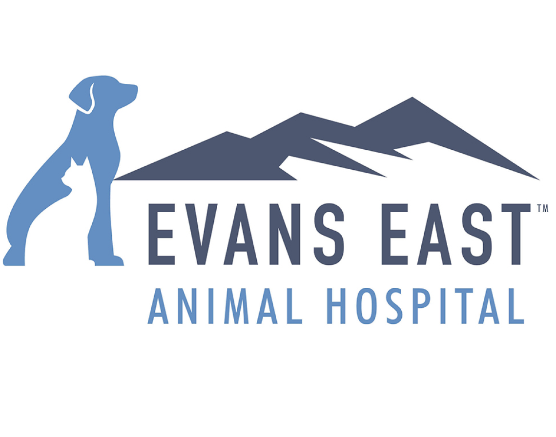 Our Partners The Grey Muzzle Organization